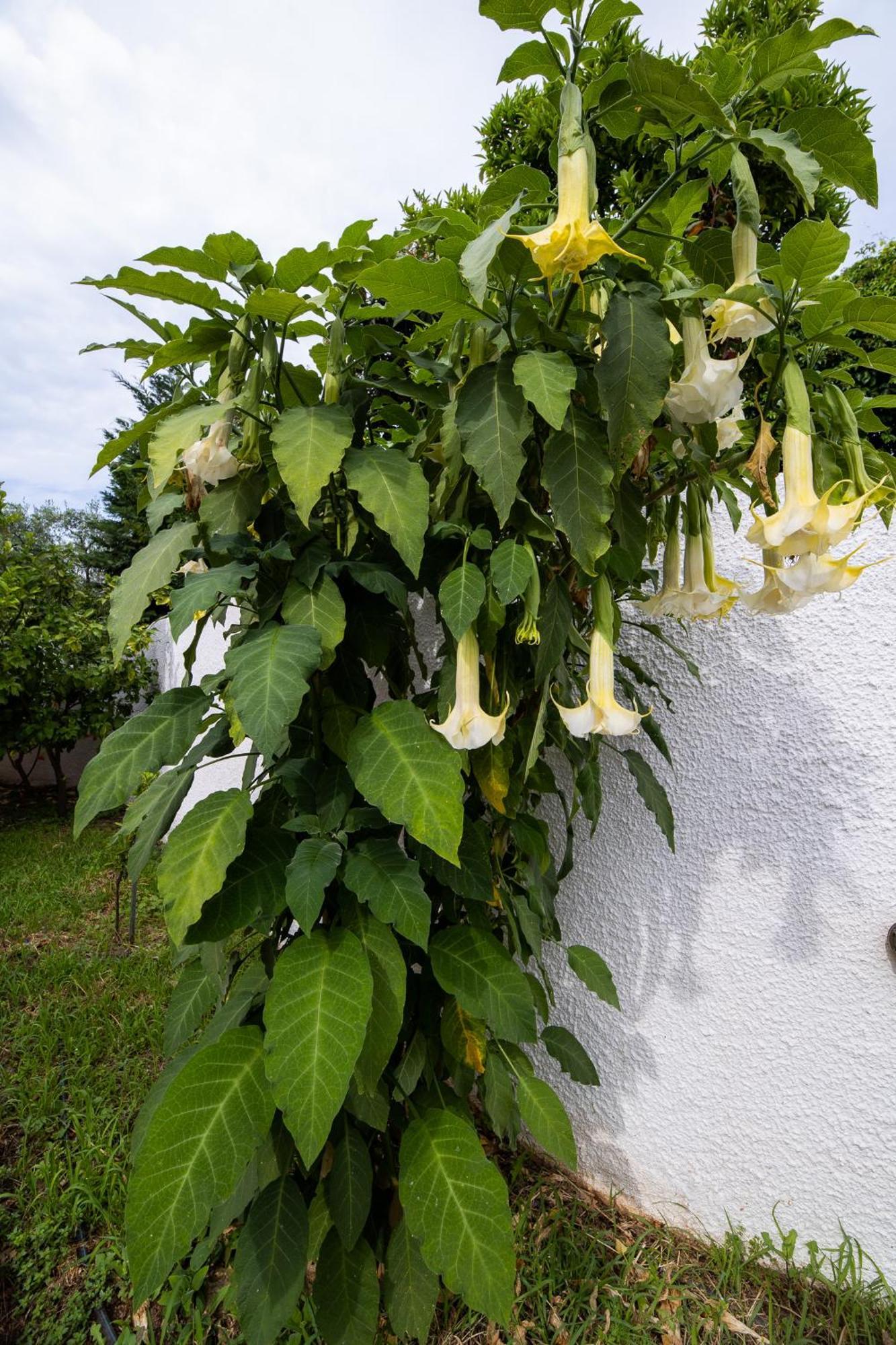 Seralis Pelion 아피소스 외부 사진